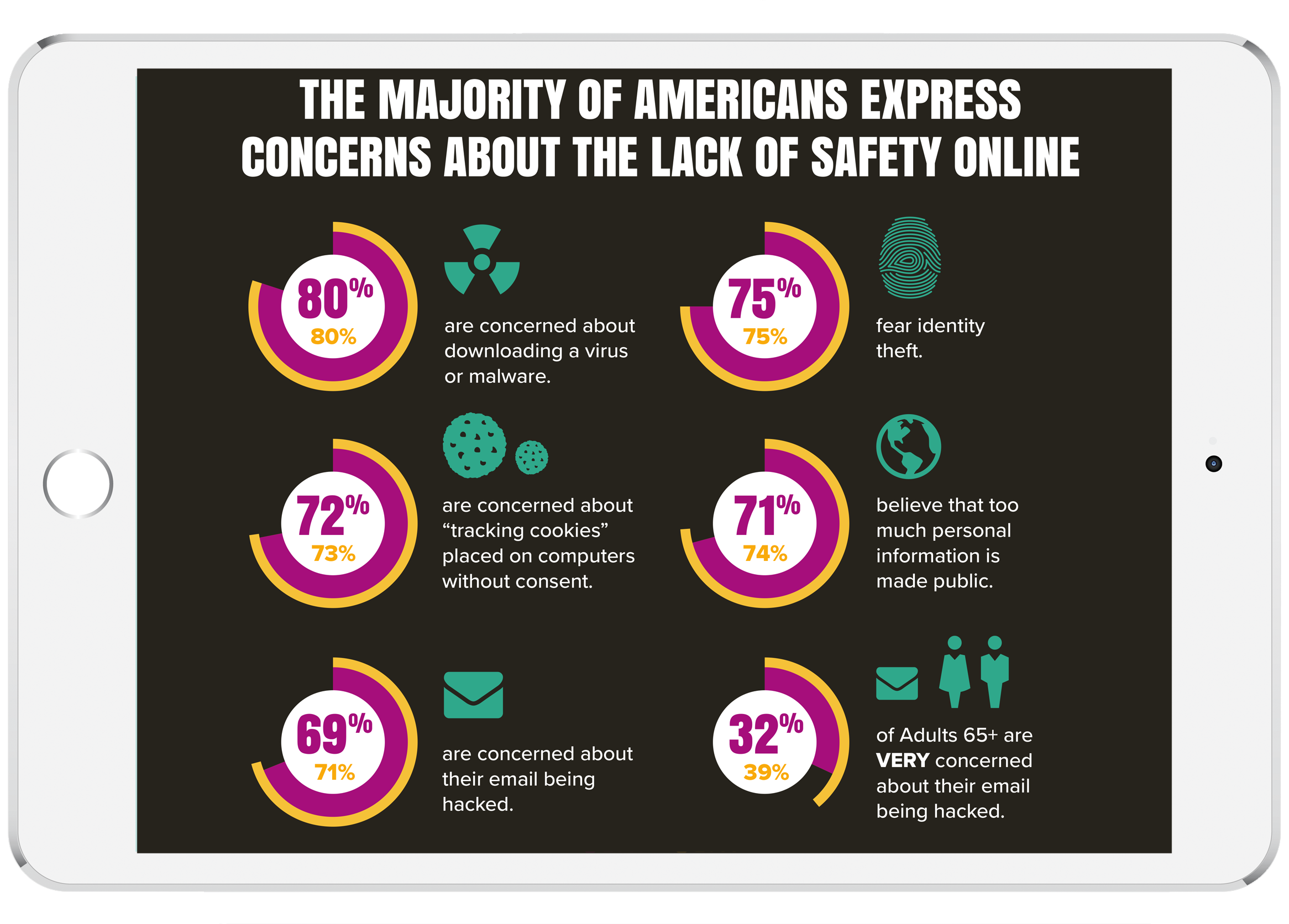 2016 Online Privacy Infographic 
