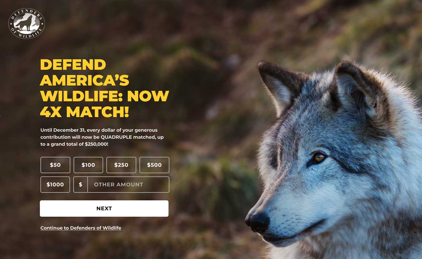 defenders defend americas wildlife